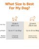 AmazonBasics Two Door Top Load Pet Carrier 3 61JHwUqlKL. SL1500