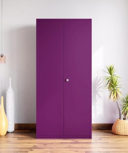 Interio by Godrej Marc 2-Door Steel Almirah | Textured Mulberry, 1-Year Warranty, 1 Locker, 1 Drawer, 5 Shelves  OPEN BOX
